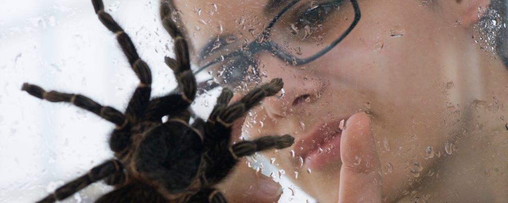 Student with a tarantula - part of the research studies